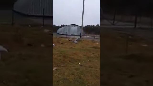 ©️:Куда ушли деньги, на строительство цеха утилизации мусора? смотреть онлайн