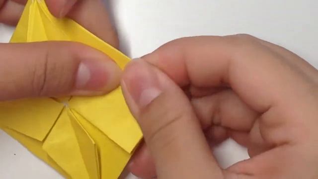 Chrysanthemum Kusudama