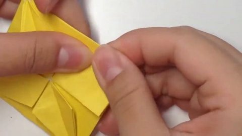 Chrysanthemum Kusudama