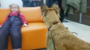 ЖЕНЯ ПОМОГАЕТ ДОКТОРУ ДЕЛАТЬ УКОЛ ПРИВИВКУ СОБАКЕ