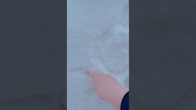 Видеть счастье в мелочах - это особенная способность...