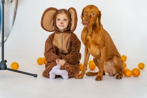 Возвращение Чебурашки