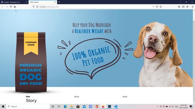 How to make website using HTML, CSS and bootstrap | Part 1 | Visual Studio  | Web Development Skill