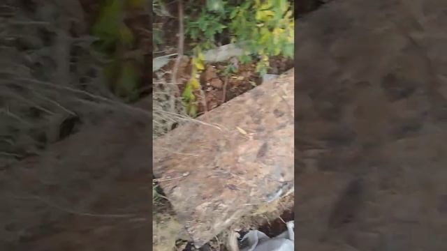 подпорная стена из габиона своими руками часть 1 смотреть онлайн