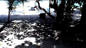 Maldives - Felidhoo Atoll - Alimatha Island