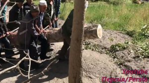 #ТАДЖИКИСТАН#СЕЛО КАЗДОН#ШООККК#ВЕЗЕМ БЕРЕЗЫ НА ГАЗ 53#ОПАСНЫЙ ВОДИТЕЛЬ#СЕЛЬСКАЯ РУТИНА#TAJIKISTAN
