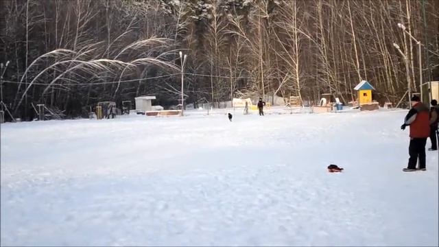 мондьоринг