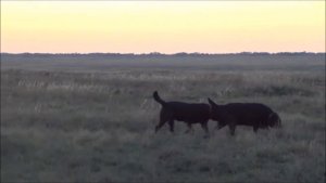 Часть 1. Дорога в Лагань и первый день. 2013, октябрь