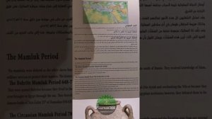 ЧЕРКЕСЫ (Мамлюки) - правители Египта. Исламский музей в Каире.