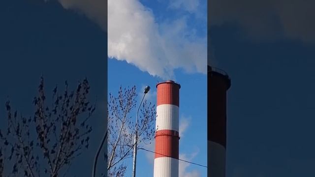 МУСОРНЫЙ ВЕТЕР.