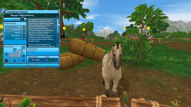 Покупка Самой Дешевой Лошади в Star Stable смотреть онлайн