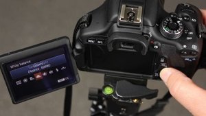 Canon 600D How to set the white balance