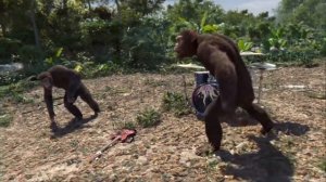 ОБЕЗЬЯНЫ ТАНЦУЮТ ПОД -RASA -Пчеловод