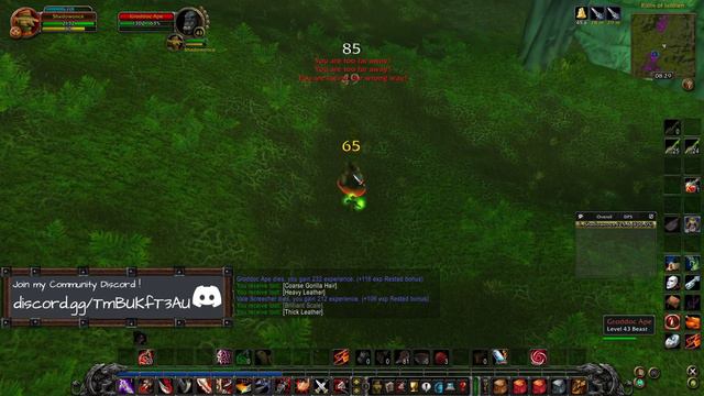 HC Turtle WoW Vanilla+ Horde # 267 - lvl 45 and 31% смотреть онлайн