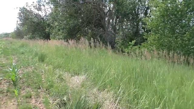 Вот как обманывают нас матководы! смотреть онлайн