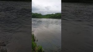 1 видео рыбалка Тумнин