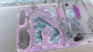 Это что такое? Что с моими муравьями...?