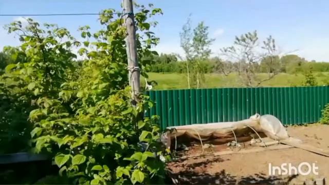 Сбежала с работы на дачу! смотреть онлайн