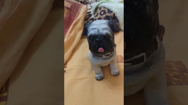 тест покажет Ваш характер смотреть онлайн