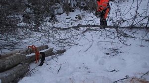 Stihl MS 441 C-M W