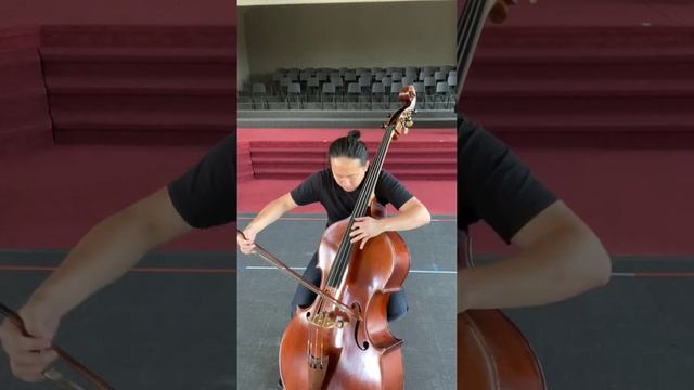 Astor Piazzolla - Tango Etude No. 3 Performed On The Double Bass смотреть онлайн