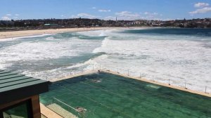 Bondi Beach | Bondi Icebergs Swimming Club | LIFE in AUSTRALIA