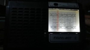 Гиала-407