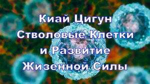Практики Цигун и Стволовые Клетки