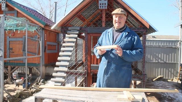 Правильная лестница- трап для кур своими руками.