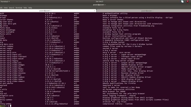 How to List all Installed Packages in Ubuntu Debian Linux Mint смотреть онлайн
