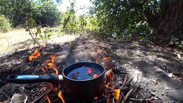 Нестандартный чай в лесу.Готовим на костре! смотреть онлайн