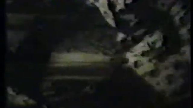 Типы высшей нервной деятельности