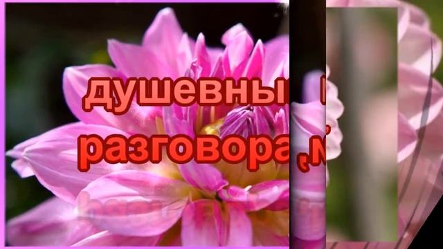 Добрый вечер! Мира и добра! Доброго уютного вечера и хорошего настроения! смотреть онлайн