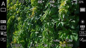 Поляризационные фильтры. Отличные цвета на фотографиии. Как увидеть невидимое и убрать лишнее.