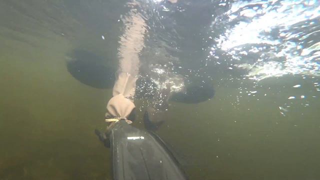 Рюкзак , плотик и пара мух. Рыбалка в Карелии. Дикие в отпуске(тизер) смотреть онлайн