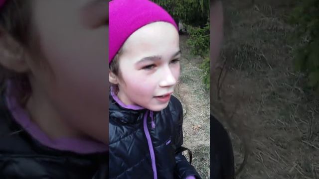 Народный Пеленгатор: первые отзывы смотреть онлайн