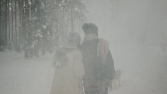 Почему полярным животным Не холодно факты про арктику и Полярные Животные и Секрет Выживания смотреть онлайн