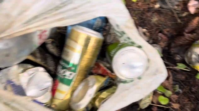 Искатели вышли на #догплоггинг: 65кг чермета порадовали?… смотреть онлайн