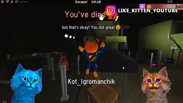 ? СЕКРЕТ ЛЕТАЮЩЕГО БЕКОНА в РОБЛОКС Bakon COUNTDOWN ROBLOX ДЕЛАЮ КОНЦОВКУ КОТЁНОК ЛАЙК и ИГРОМАН смотреть онлайн