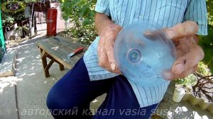 Борьба с осами на винограднике.Ловушка для ос на винограднике.Как сделать ловушку для ос из бутылк