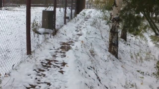 Деревня Лунево. 09.10.15 смотреть онлайн