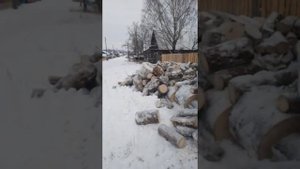 сепыч 30декабря 2020 года