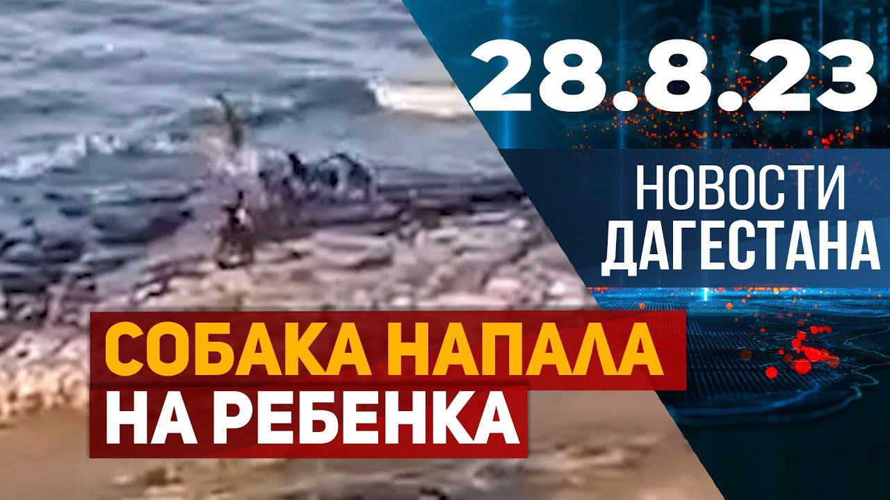 Новости Дагестана за 28.08.2023 год