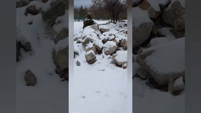 kas vyksta? смотреть онлайн