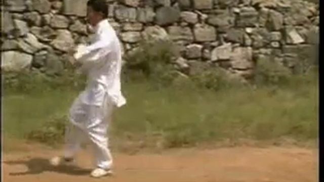 СиньИ 5 непрерывных движений кнутом Часть 2.flv смотреть онлайн