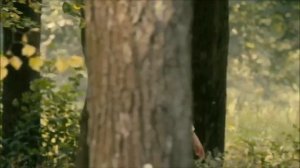 Анна-медиум (2014)