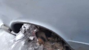 Бистрое снятие ступицы з Ваз2101.