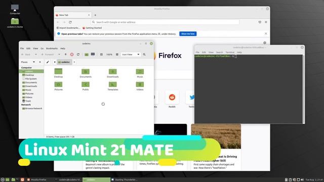 Linux MInt 21 Cinnamon vs MATE vs XFCE (RAM Consumption) смотреть онлайн