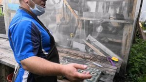 Прививка щенкам дома самостоятельно, вакцинация своими руками