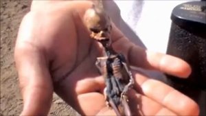 Самые жуткие существа на земле